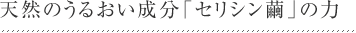 天然のうるおい成分「セリシン繭」の力
